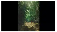 Tes Ilusi Optik Gambar Seram, Pria atau Wajah yang Dilihat Pertama Ungkap Kepribadianmu