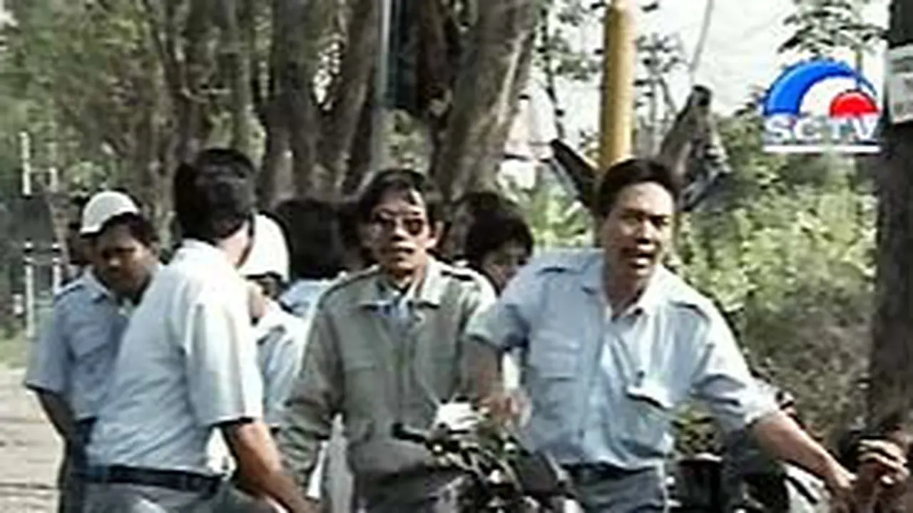 110204bDemoMertex.jpg