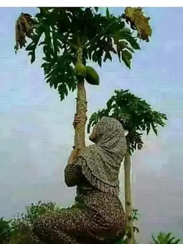 6 Aksi Gokil Cewek Saat Manjat Pohon, Banyak Tingkah - Hot Liputan6.com