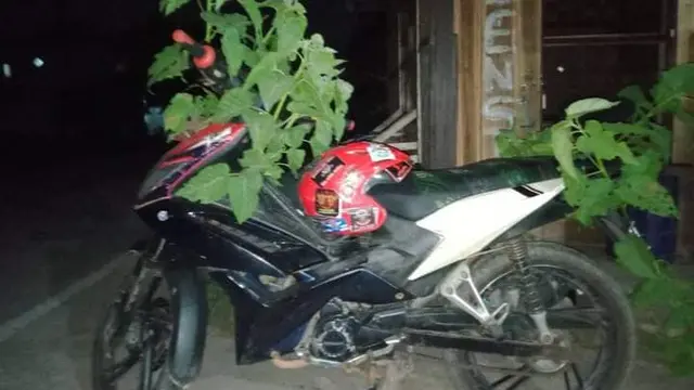 10 Motor Tak Pernah Dipakai Ini Bikin Geleng Kepala, Jadi Tempat Jamur