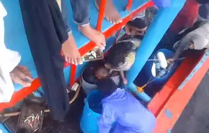4 ABK Diduga Dianiaya karena Tak Capai Target Tangkapan Cumi