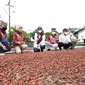 Bupati Banyuwangi Ifuk Fiestiandani menijau pabrik pengelolaan kakao Glenmore Banyuwangi (Istimewa)