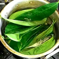 Daun Sirsak | via: yangterlupa.com