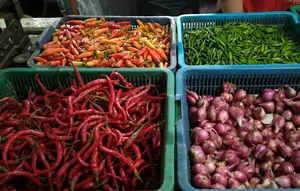 Harga Pangan Perlahan Turun, Cabai Rawit Hijau Rp 67.950 per Kg