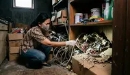 7 Cara Mengetahui Sumber Bau Tikus yang Tersembunyi di Rumah, Cek Area yang Sering Terlewat