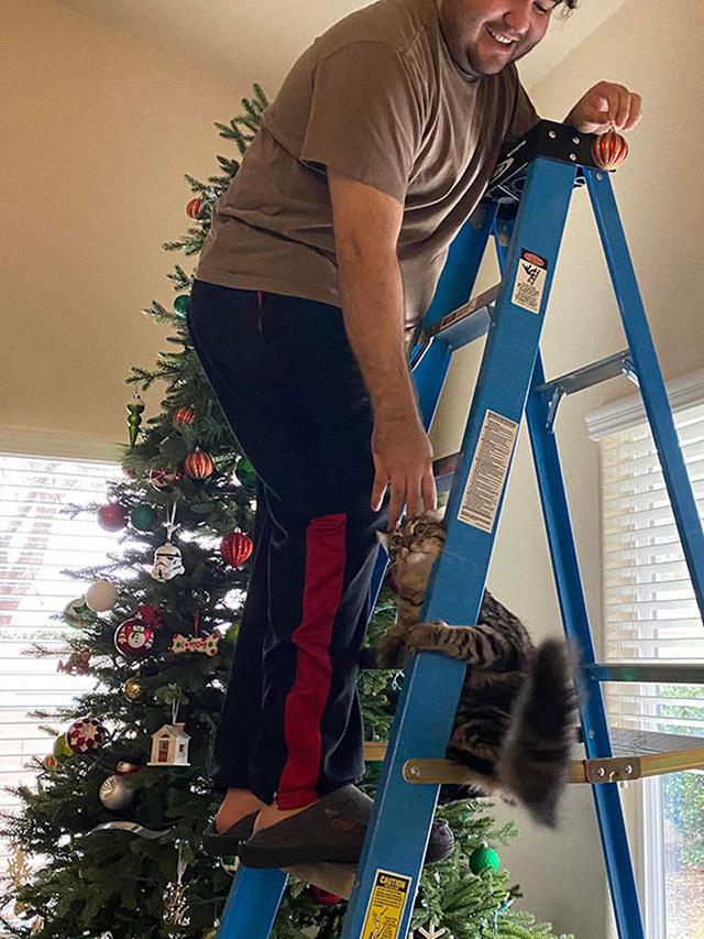 7 Potret Kocak Hewan Saat Natal, Heboh Banget