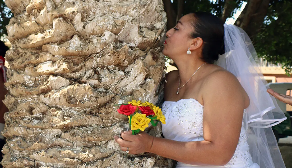 Seorang aktivis lingkungan berpakaian pengantin mencium sebuah pohon di San Jacinto Amilpas, Oaxaca, Meksiko, Minggu (25/2). Acara ini bernama "Menikah dengan Pohon". (AFP FOTO/PATRIKIA CASTELLANOS)