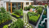 8 Model Rumah Tipe 54 dengan Kebun Kecil yang Asri, Hunian Idaman di Perkotaan
