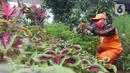 Petugas PPSU merawat tanaman di kolong flyover di Taman Bibit di Kebayoran, Jakarta, Jumat  (12/3/2021). Taman Bibit dimanfaatkan guna memenuhi kebutuhan bibit tanaman di beberapa daerah di Jakarta Selatan serta bagi warga yang membutuhkan akan diberikan secara gratis. (Liputan6.com/Angga Yuniar)