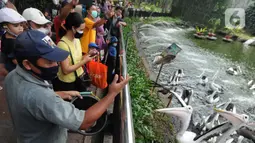 Pengunjung memberi makan burung di  Taman Margasatwa Ragunan (TMR), Jakarta, Sabtu (23/10/2021). Mulai hari ini TMR ragunan dibuka untuk umum dengan menerapkan protokol kesehatan yang ketat. (merdeka.com/Arie Basuki)