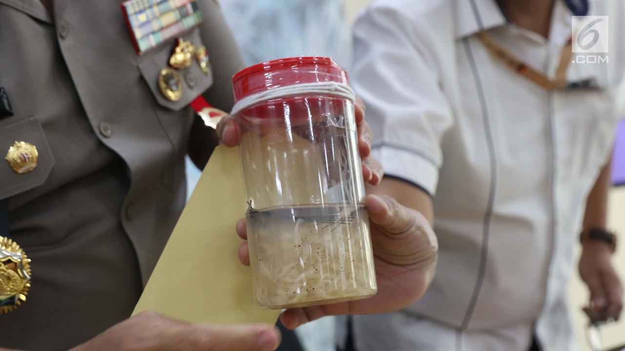 Bareskrim Mabes Polri Gagalkan Penyelundupan Benih Lobster