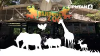 Infografis Izin Dicabut Kemenhut Nasib Satwa hingga Karyawan Bandung Zoo