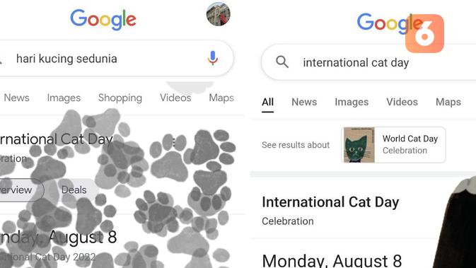 <p>Hasil pencarian Google untuk keyword Hari Kucing Sedunia (Liputan6.com/ Agustin Setyo W).</p>