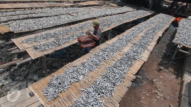 20151204-Pasokan Menurun, Utilitas Industri Pengolahan Ikan Hanya Tersisa 40%