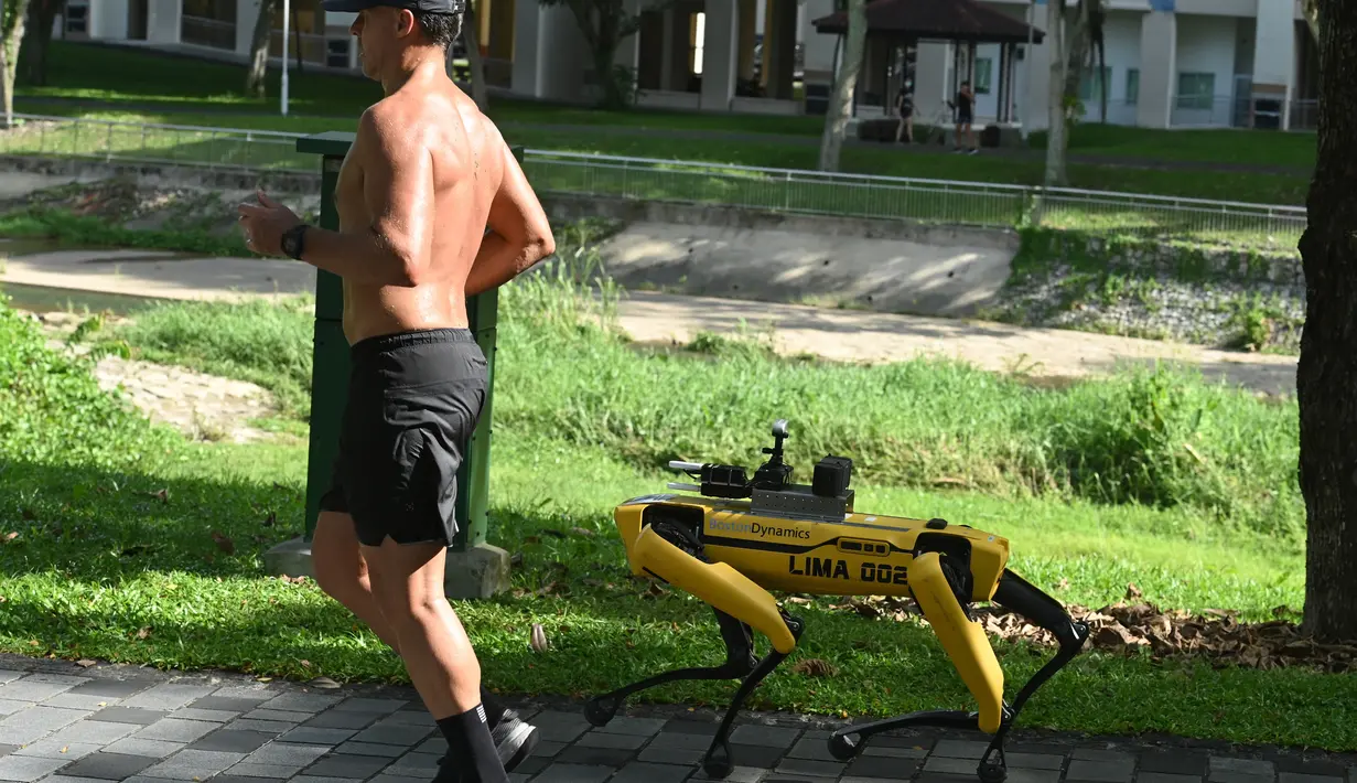 Seorang pria berolahraga melintasi robot berkaki empat yang mirip anjing, Spot selama uji coba dua minggu di Bishan-Ang Moh Kio Park, Singapura pada 8 Mei 2020. Robot itu menyiarkan pesan untuk mengingatkan warga untuk melakukan jaga jarak di tengah pandemi virus corona. (Roslan RAHMAN/AFP)