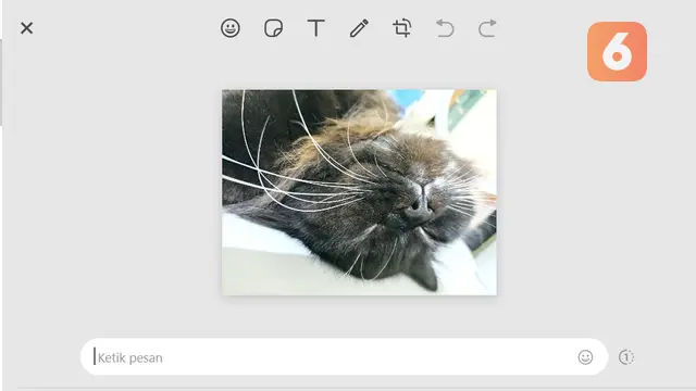 Edit foto di WhatsApp Web
