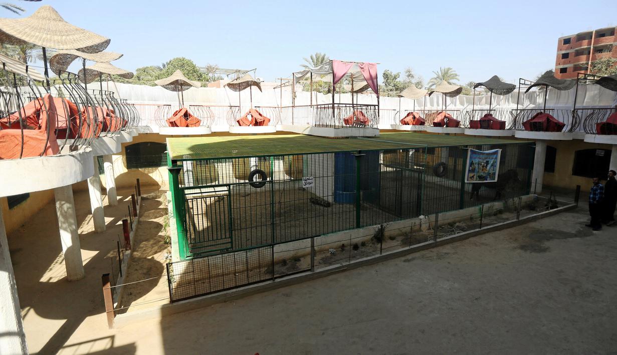 Suasana kebun binatang di Giza , Mesir , 28 April 2016. Kebun binatang ini awalnya adalah pekarangan yang mana pemiliknya suka memelihara binatang-binatang liar. (REUTERS / Mohamed Abd El Ghany)