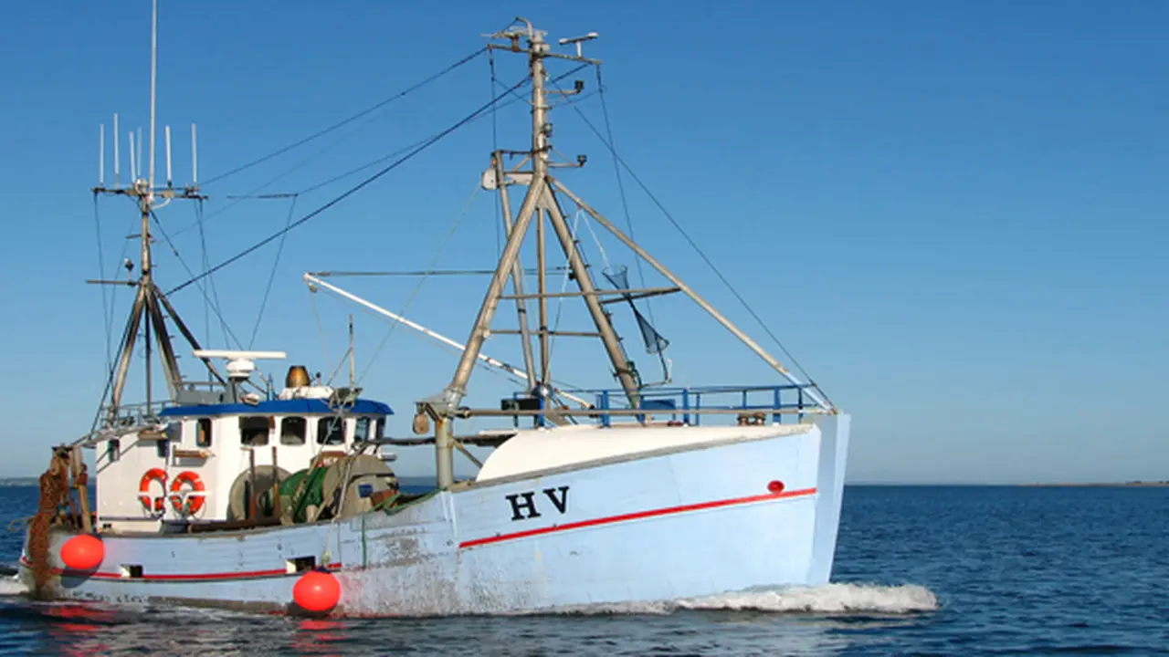 courtesy shutterstock