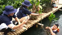 Fluidra Lindungi Mangrove Sebagai Investasi Berkelanjutan