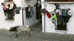Sejumlah peserta berusaha menaiki jendela menghindari banteng saat festival Toro de Cuerda di Grazalema, Spanyol, (20/7/2015). Tiga banteng dilepas di jalanan kota dalam festival tahunan tersebut. (REUTERS/Jon Nazca)