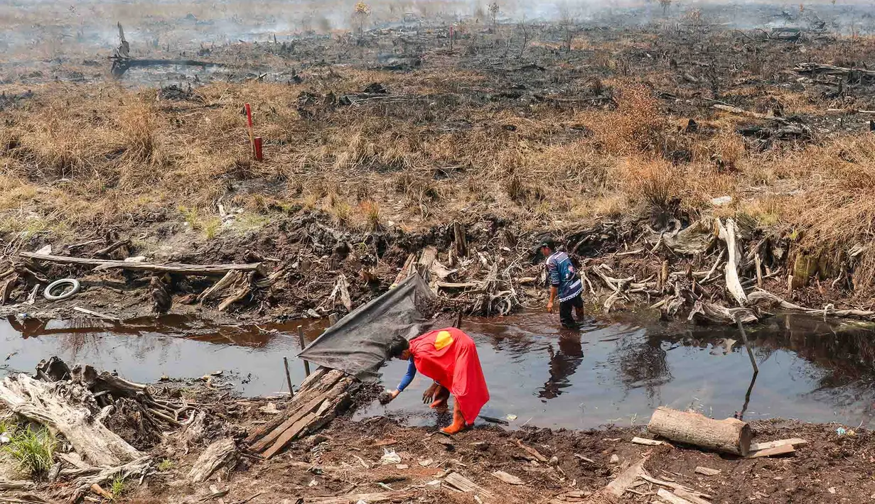 Pelajar bernama Rudiansyah dengan mengenakan kostum Superman membantu memadamkan kebakaran hutan dan lahan di Petuk Katimpun, Palangkaraya, Kalimantan Tengah, 17 Agustus 2026. (AFP/ Reina)