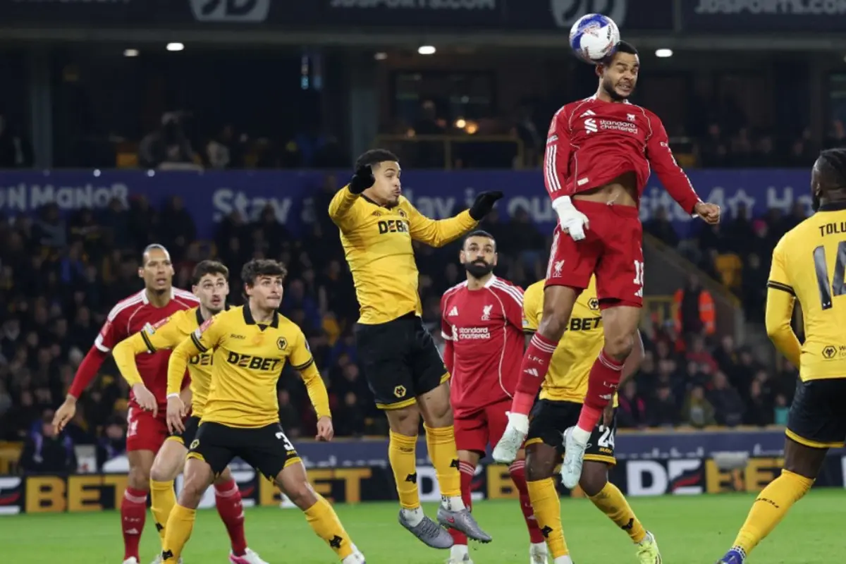 Wolves Vs Liverpool