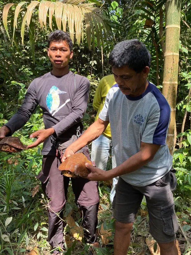 Orang Rimba berburu Sebodo