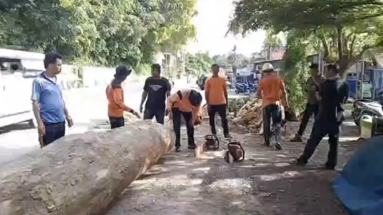 Pohon Tumbang