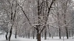 Seseorang berjalan melewati taman yang tertutup salju setelah hujan salju lebat di Vilnius, Lituania, Jumat, 9 Desember 2022. Salju terus turun di seluruh negeri, dengan suhu hanya 0 derajat Celcius (32,0 derajat Fahrenheit). (AP Photo/Mindaugas Kulbis)