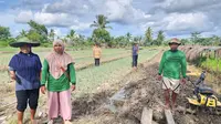 Begini Cerita Petani di Merauke yang Makin Produktif Berkat Program Pemberdayaan Klaster Usaha BRI