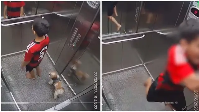 Aksi Bocah Selamatkan Anjing Peliharaan yang Terjebak di Lift Ini Banjir Apresiasi