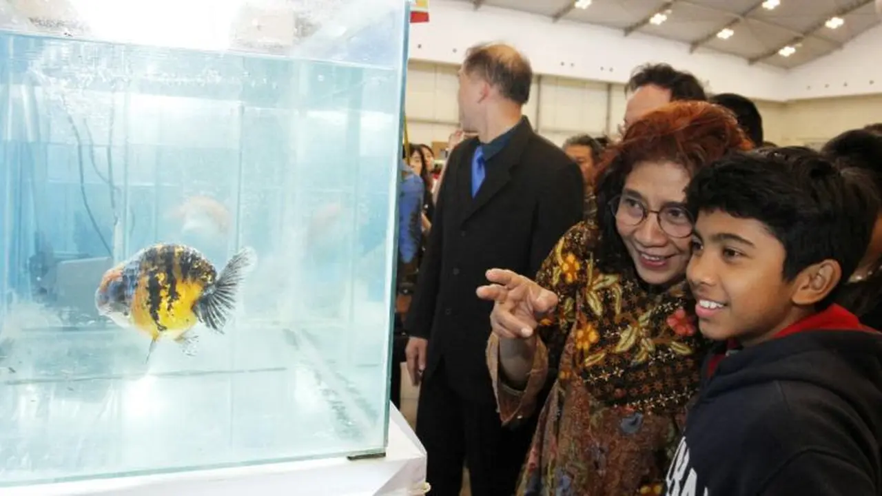 Menteri Kelautan dan Perikanan, Susi Pudjiastuti menyatakan Indonesia dapat merajai pasar ikan hias dunia, mengalahkan Singapura. (Dok.KKP)