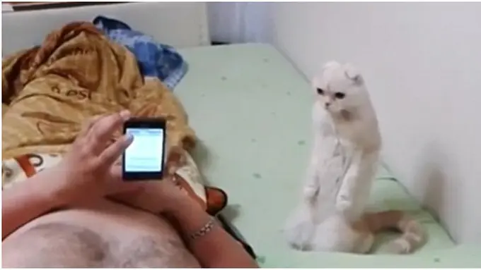 Photo copyright Dailymail.co.uk