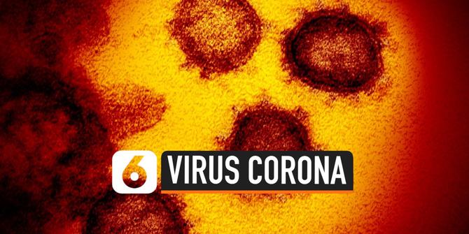 VIDEO: Selain Paru-Paru, Virus Corona Ternyata Serang Organ Ini