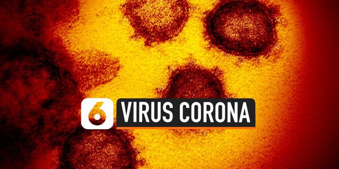 VIDEO: Selain Paru-Paru, Virus Corona Ternyata Serang Organ Ini