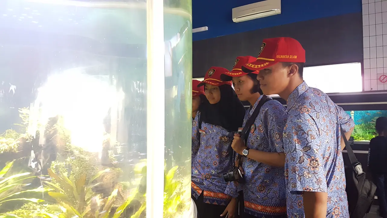 Paskibraka Nasional 2017