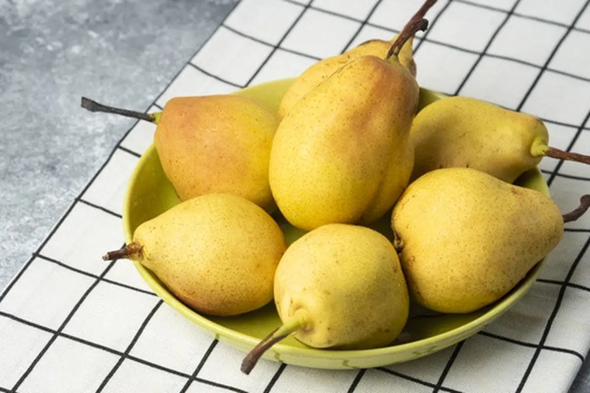Gambar Ilustrasi Buah Pir