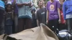 liputan6