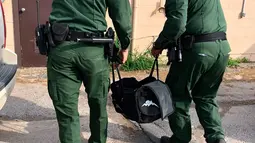 Agen patroli perbatasan Amerika Serikat membawa anak harimau di sebuah tas, yang disita di perbatasan Texas, menuju Kebun Binatang Gladys Porter, Brownsville, 30 April 2018. Anak harimau jantan itu ditemukan dalam keadaan tidak sadar di tas ransel. (AP)