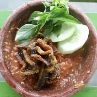 Ilustrasi sambal belut/copyrightshutterstock/Maharani afifah