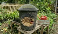 6 Cara Memanfaatkan Ember Retak Menjadi Kandang Ternak Sederhana yang Fungsional