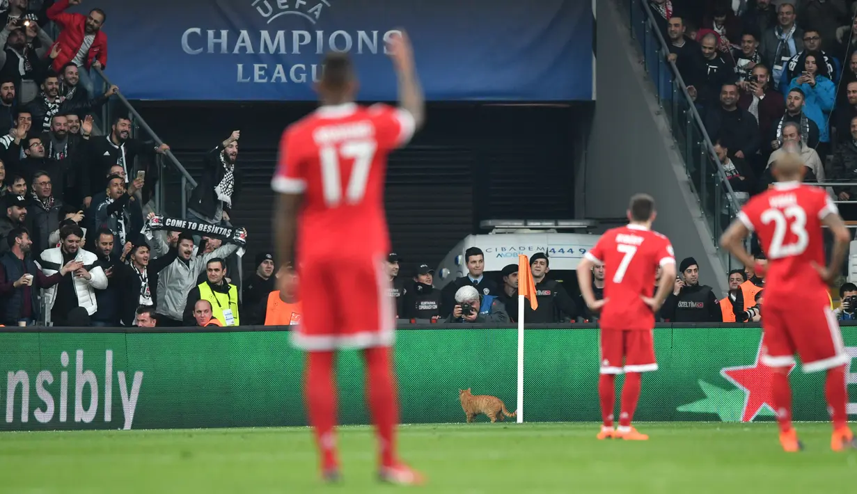 Pemain Bayern Munchen mengamati seekor kucing yang memasuki lapangan duel Liga Champions kontra Besiktas di Stadion Vodafone, Kamis (15/3). Kondisi ini membuat wasit menghentikan sementara pertandingan saat Bayern Munchen tengah unggul 2-0 (OZAN KOSE/AFP)