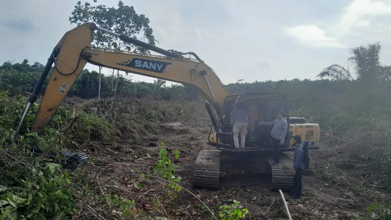 Tindak pidana perambahan hutan di Taman Nasional Tesso Nilo.