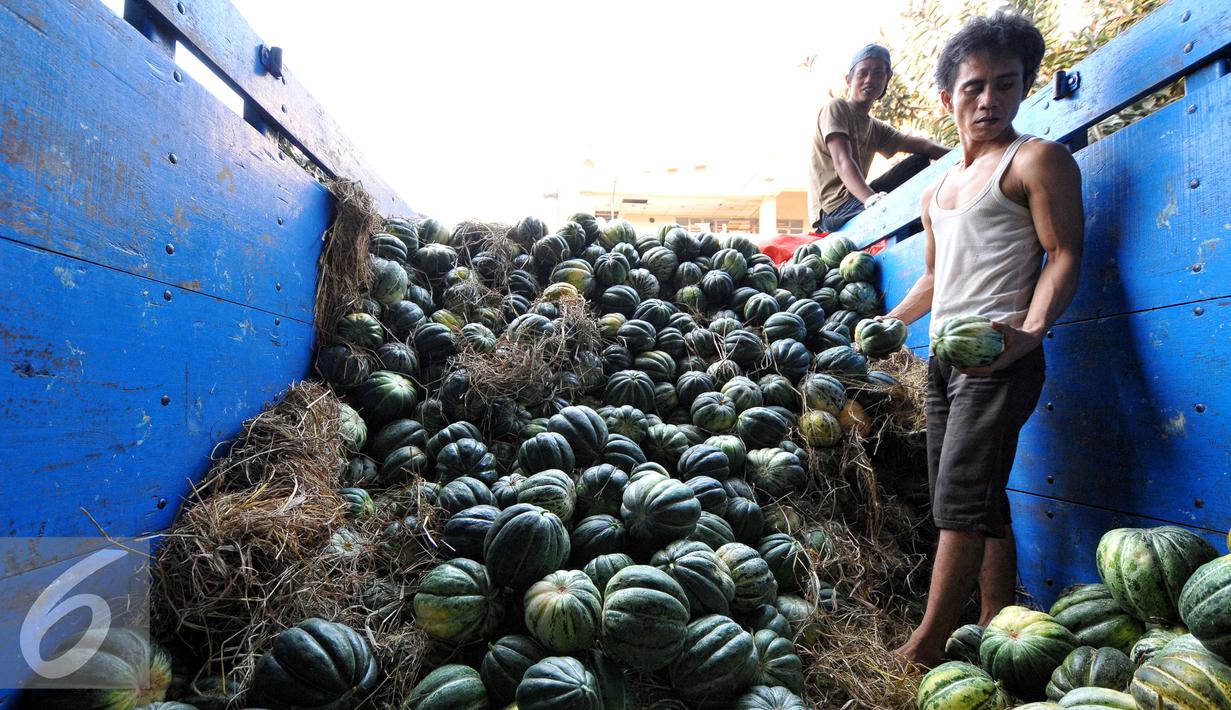 Pedagang saat menurunkan buah labu blewah dari atas mobil di Pasar Induk, Kramat Jati, Sabtu, (20/6/2015).  harga buah labu blewah dari Rp. 2.500 menjadi Rp. 4.000 per kg. (Liputan.com/Yoppy Renato)