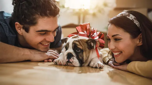 Bukan Lamaran Biasa, Ide Nyatakan Rasa Out of The Box Ini Sering Jadi Impian Perempuan