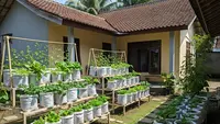 9 Ide Kebun Sayur Sederhana di Samping Rumah Pakai Karung Beras, Praktis dan Hemat Lahan