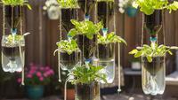 Trik Membuat Pot Gantung dari Barang Bekas, Cantik dan Hemat Ruang di Balkon