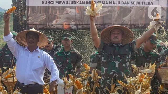 KASAD dan Mentan Amran Sulaiman Panen Jagung di Food Estate Sukabumi