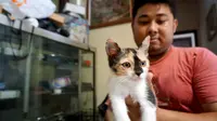 Komunitas pecinta kucing Rumah Difabel Meong Solo menggelar penggalangan dana untuk kucing yang menjadi korban gempa dan tsunami.(Liputan6.com/Fajar Abrori)