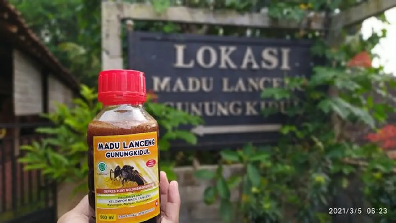 Madu Lanceng Gunungkidul, Madu Sehat dari Kelompok Tani di Desa Katongan